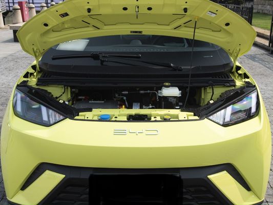 Электрическое топливо Тип настройки 2023 Byd Sea Gull 405 Km Современное автомобильное энергетическое транспортное средство