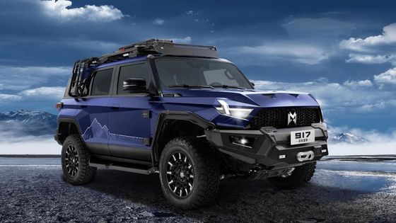 Модель кузова SUV Mhero 917 Электромобиль с электрическим SUV 2024 Авто Большой Мини Умный Использованный Электрический Автомобиль