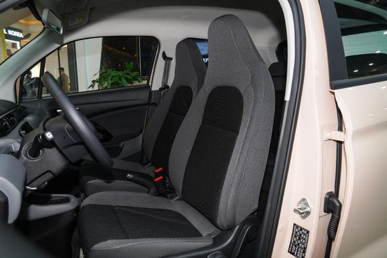 Leapmotor T03 2022 Специальное издание Автомобиль с напряжением 48 В и индивидуальным запросом