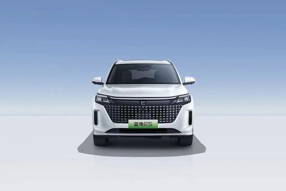 Landian E5 2024 Honor Edition 100 км Автоматический роскошный 5-местный автомобиль с онлайн-сервисом