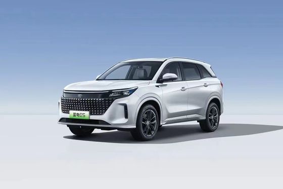 Landian E5 2024 Honor Edition 100 км Автоматический роскошный 5-местный автомобиль с онлайн-сервисом
