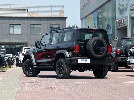 2024 Модель Gwm Tank 300 2.0t Conqueror внедорожный топливный автомобиль