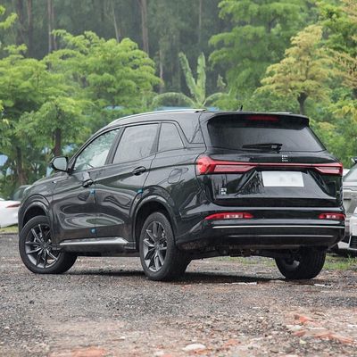 2024 Landian E5 Glory Edition 100 км Престиж 5/7 сидений Гибридный электромобиль