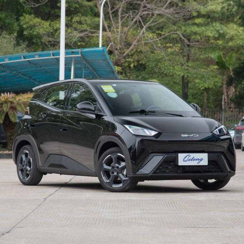 Мини-кар 2024 Byd Seagull Glory 405 км Летающее издание Чистый электрический автомобиль EV Body Style
