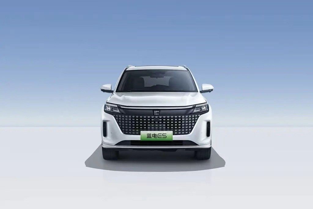 Landian E5 2024 Honor Edition 100 км Автоматический роскошный 5-местный автомобиль с онлайн-сервисом
