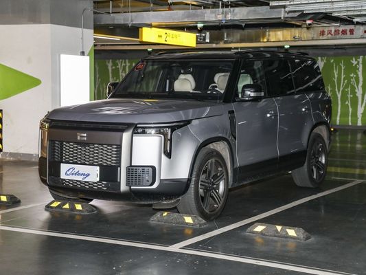 Закрытый тип кузова настройка 2023 Enjoy Edition 6-местный внедорожник